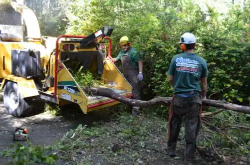 tree services Cayucos